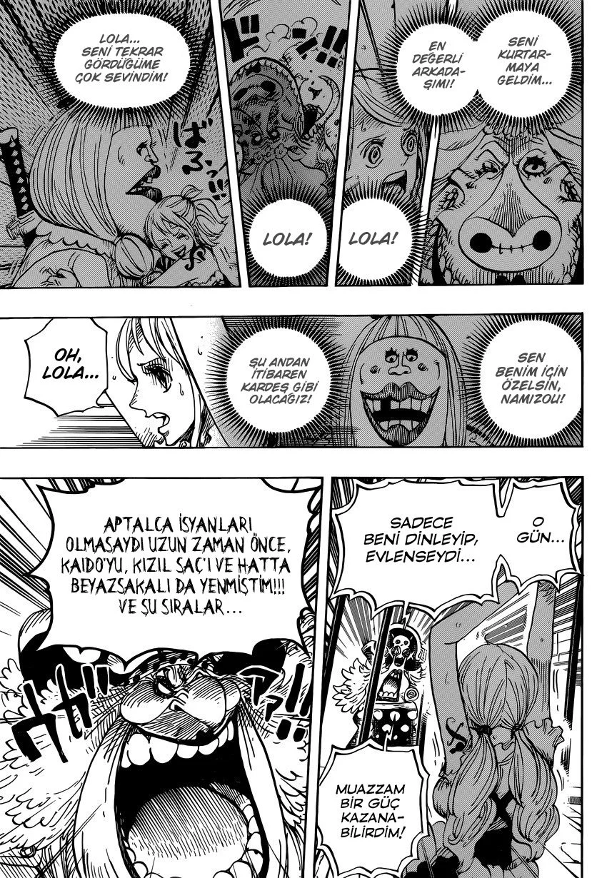 One Piece - Bölüm 847 - Sayfa 15