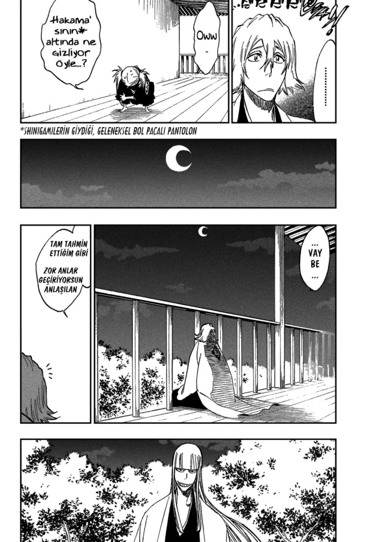 Bleach - Bölüm 315.2 - Sayfa 13