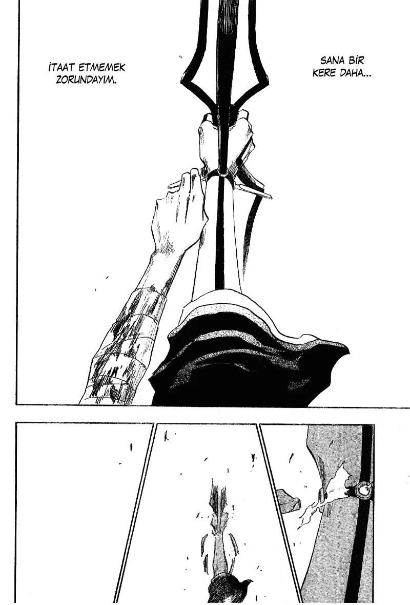 Bleach - Bölüm 124 - Sayfa 17