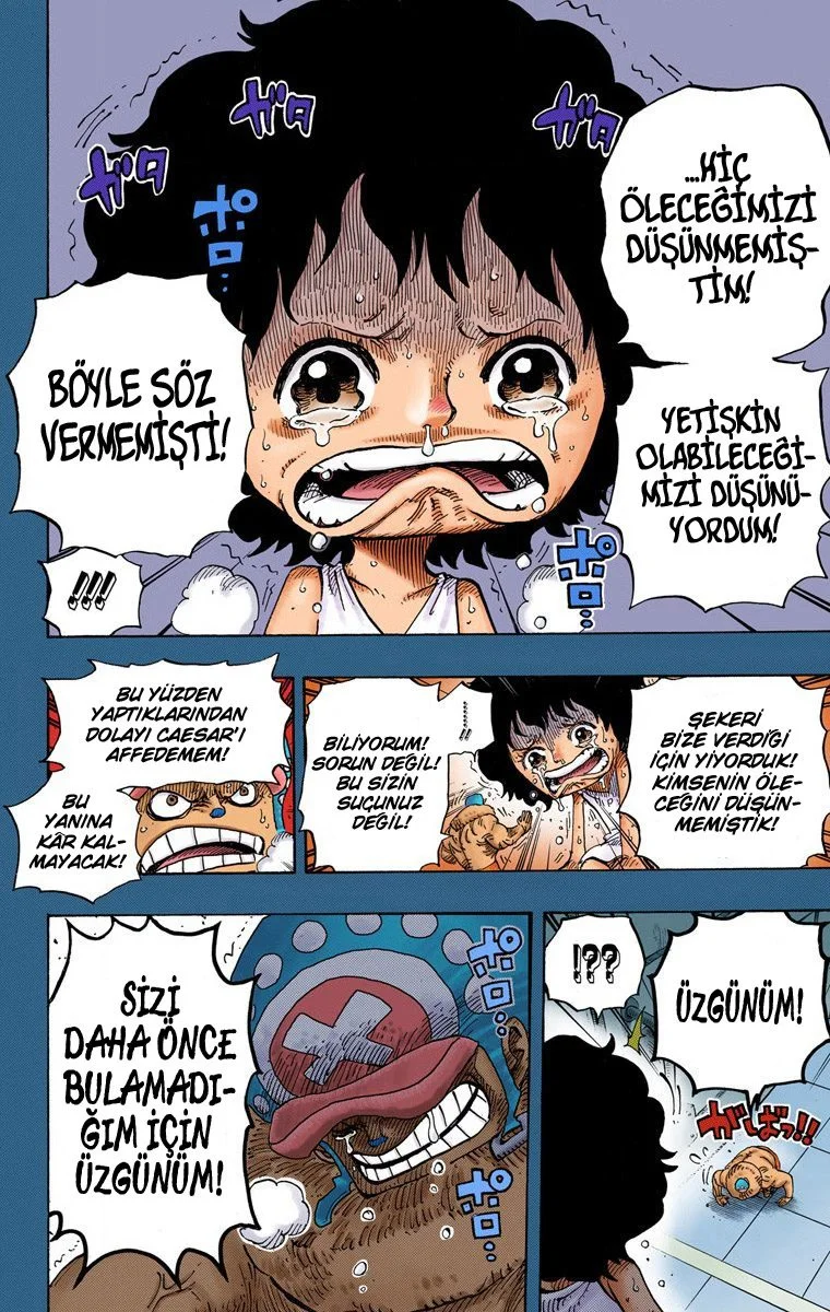 One Piece - Bölüm 688 - Sayfa 12