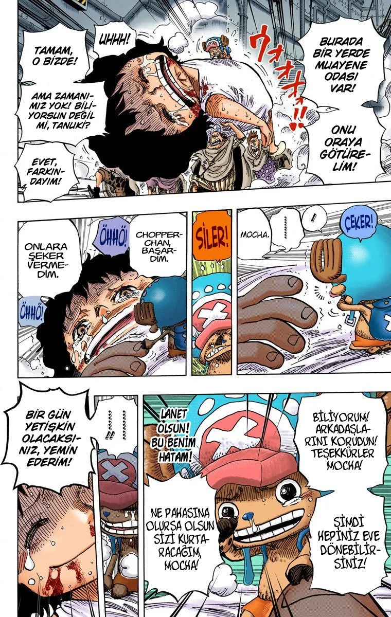 One Piece - Bölüm 688 - Sayfa 17