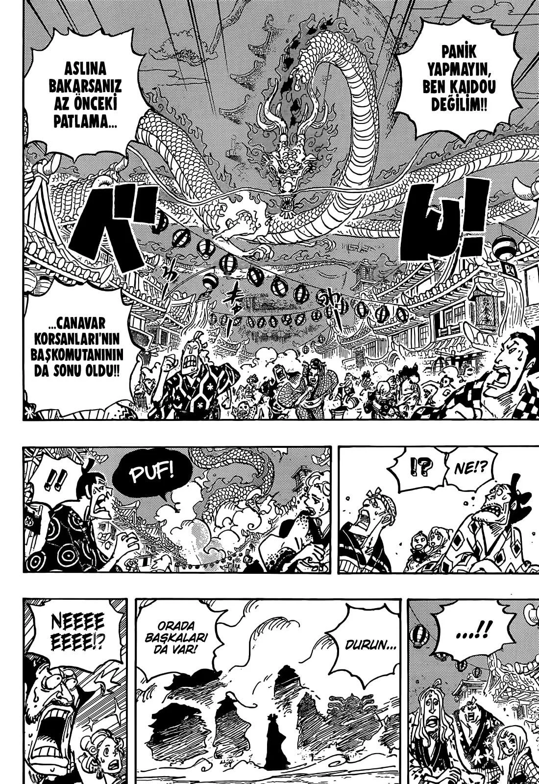 One Piece - Bölüm 1050 - Sayfa 13
