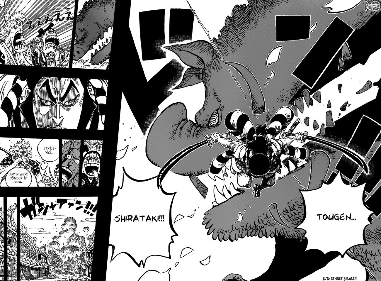 One Piece - Bölüm 961 - Sayfa 11