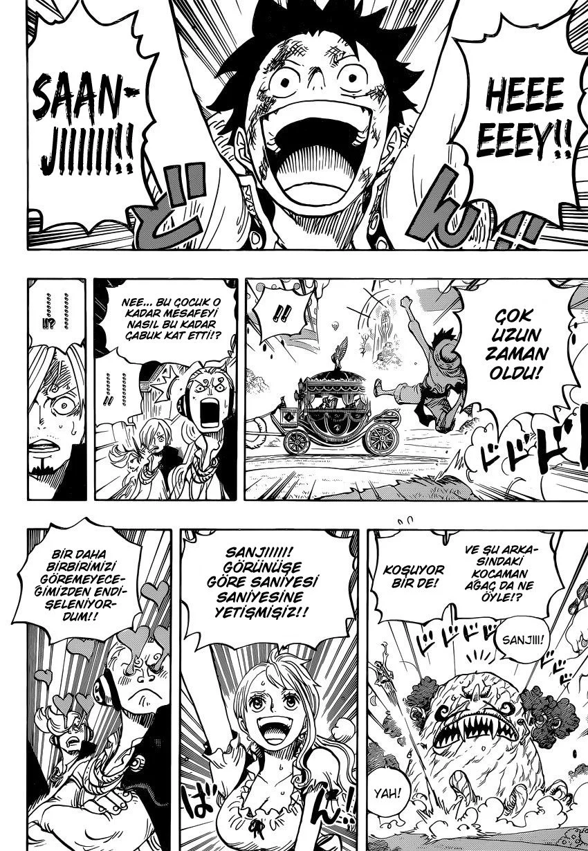 One Piece - Bölüm 843 - Sayfa 12