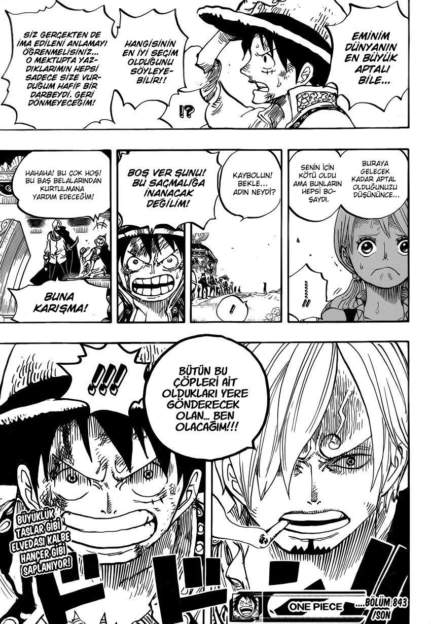 One Piece - Bölüm 843 - Sayfa 17