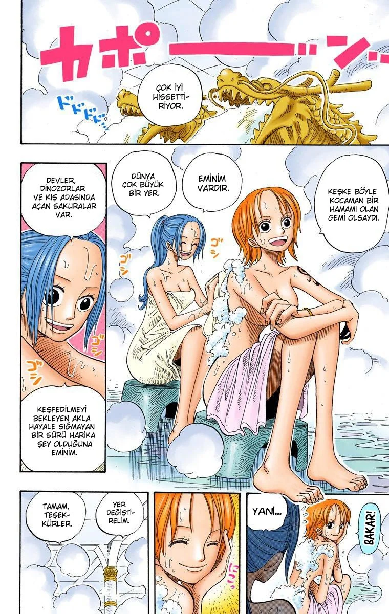 One Piece - Bölüm 213 - Sayfa 17