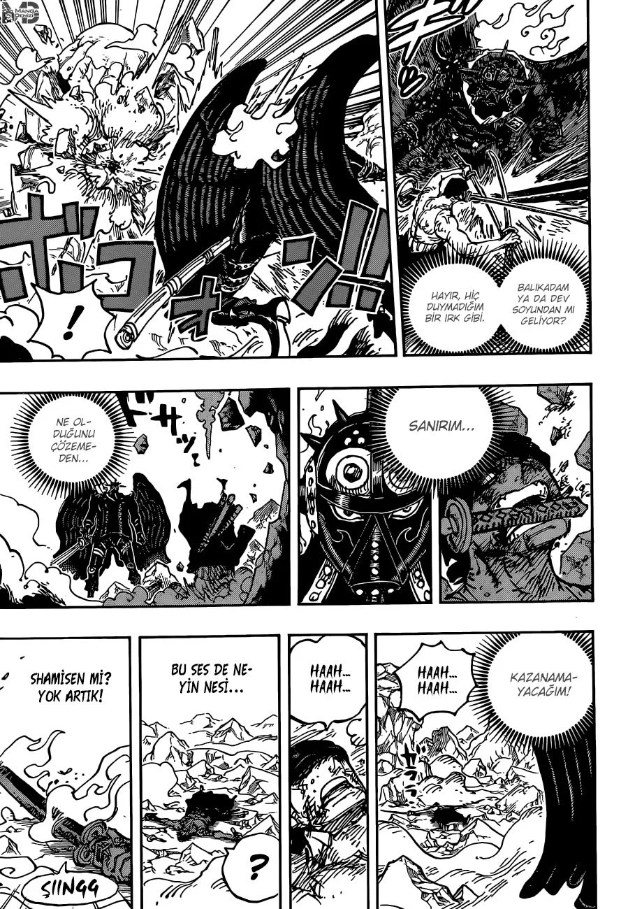 One Piece - Bölüm 1032 - Sayfa 15