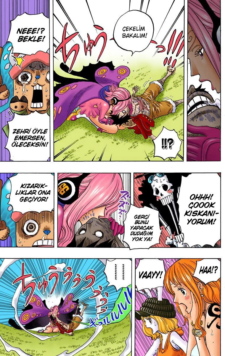 One Piece - Bölüm 826 - Sayfa 11