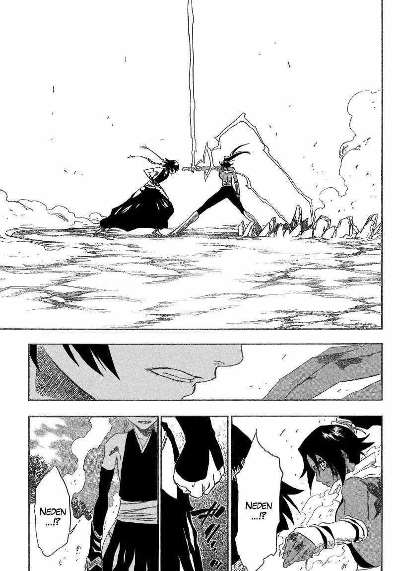 Bleach - Bölüm 159 - Sayfa 17