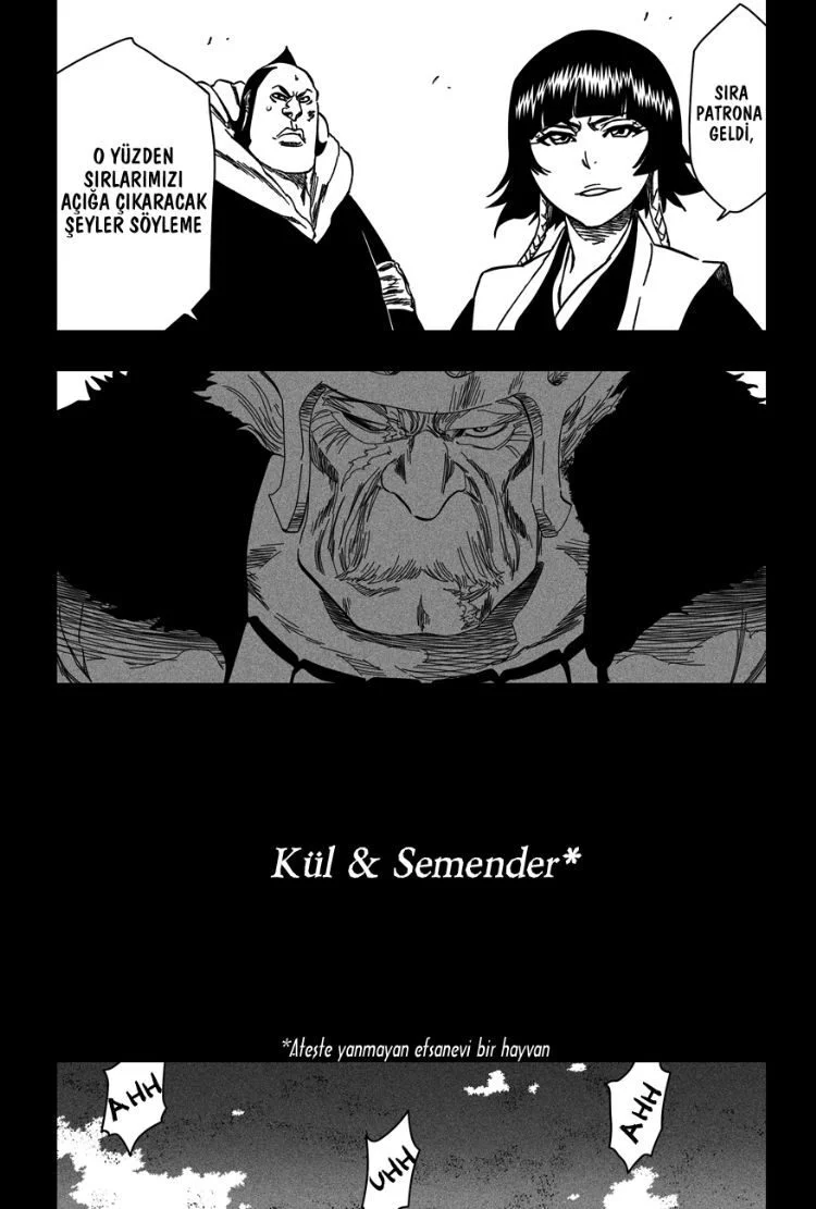 Bleach - Bölüm 333 - Sayfa 13