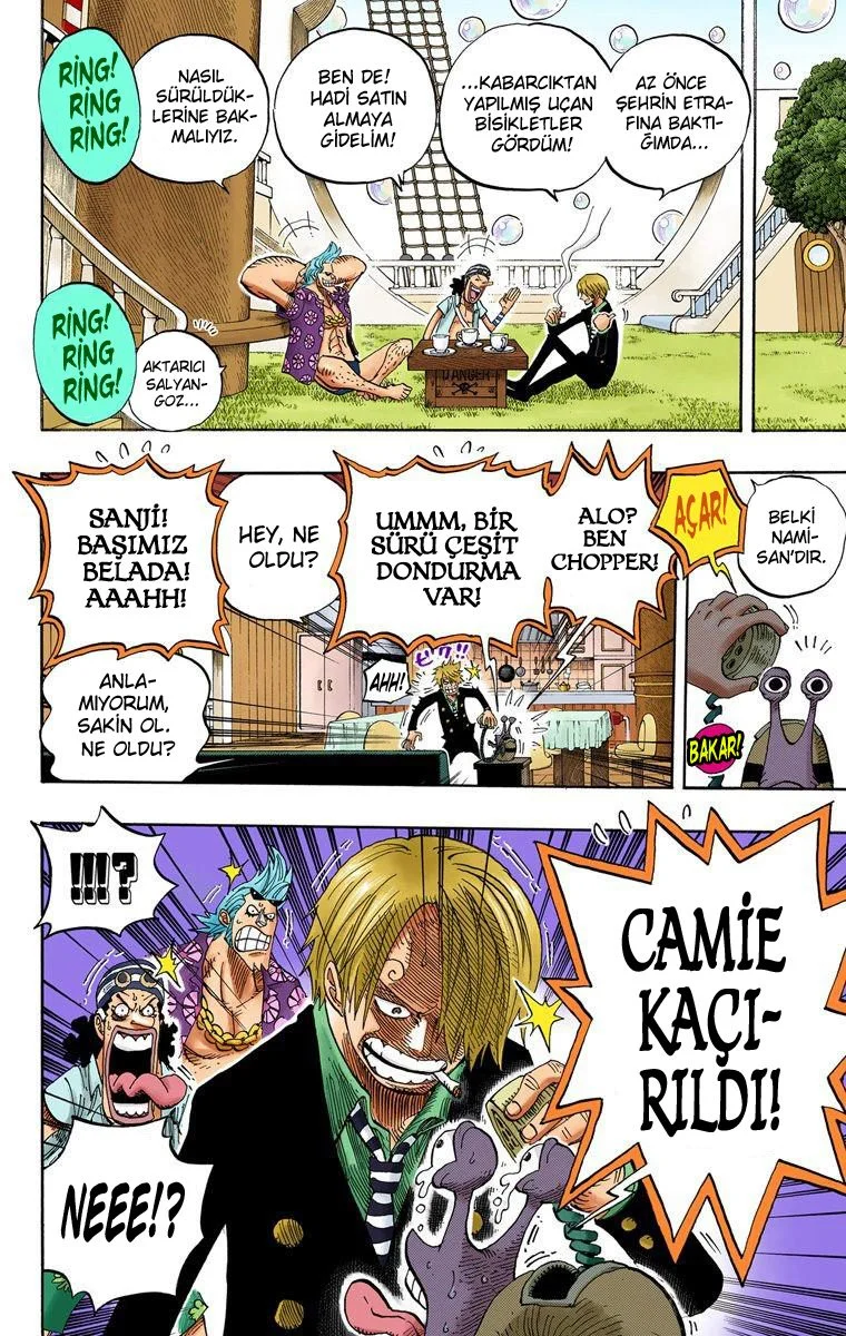 One Piece - Bölüm 499 - Sayfa 17