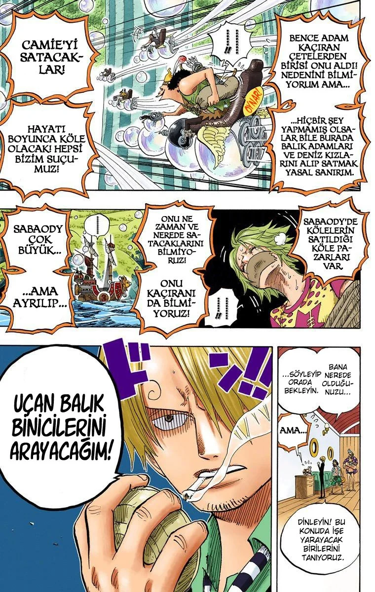 One Piece - Bölüm 499 - Sayfa 18