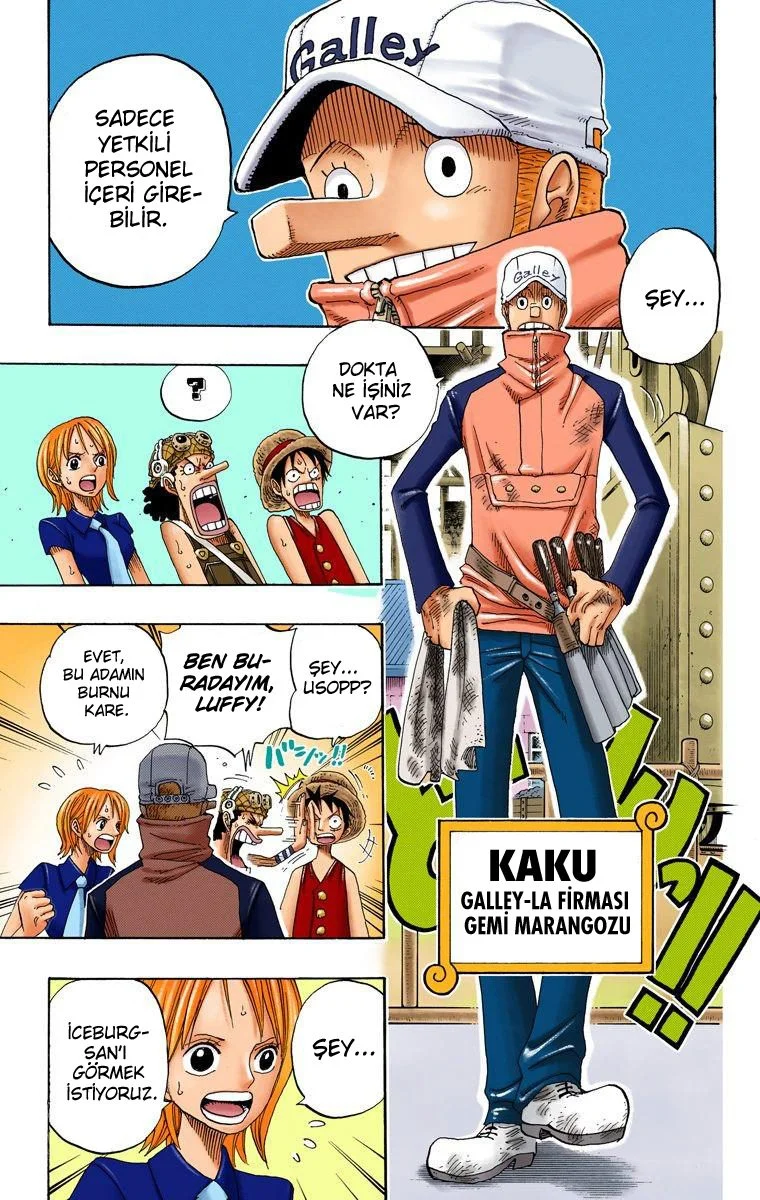 One Piece - Bölüm 325 - Sayfa 15