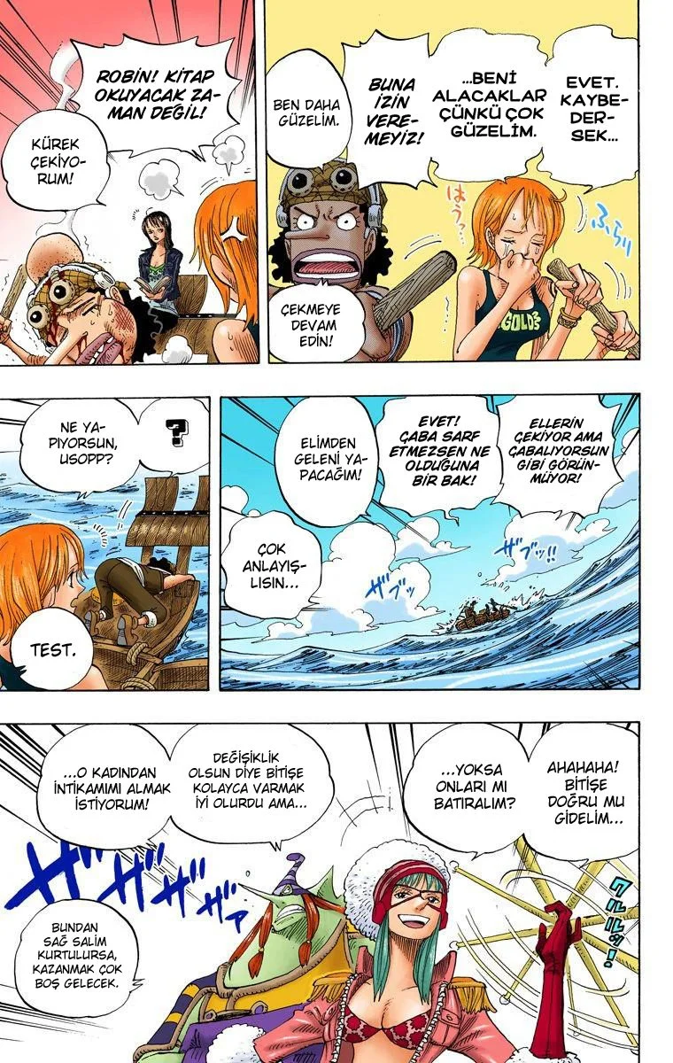 One Piece - Bölüm 307 - Sayfa 13