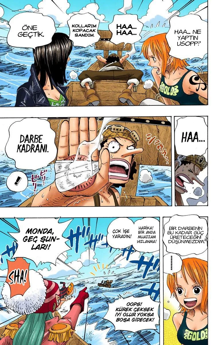 One Piece - Bölüm 307 - Sayfa 15