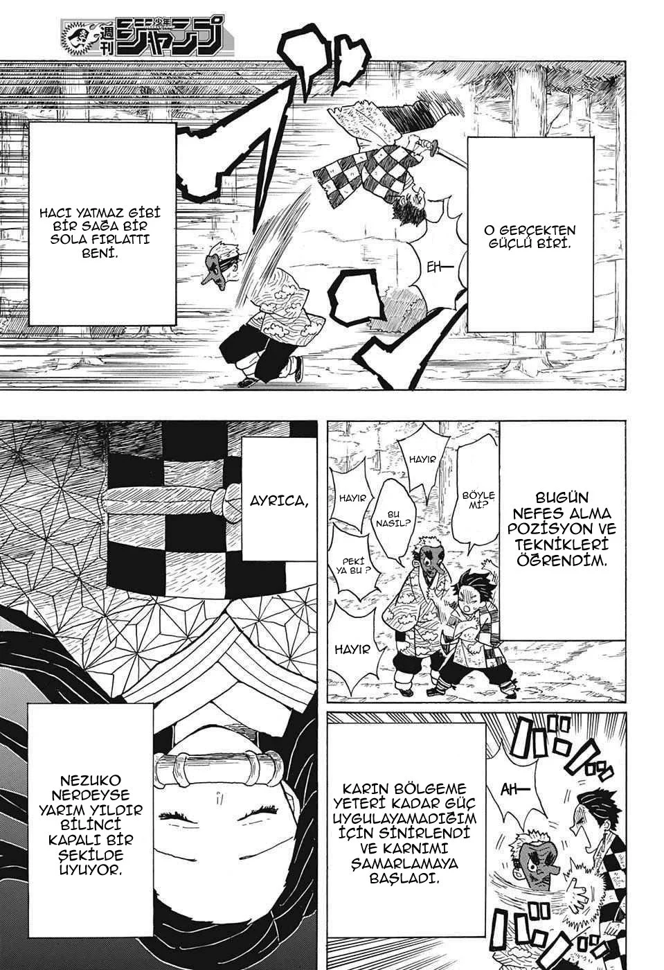 Demon Slayer: Kimetsu no Yaiba - Bölüm 4 - Sayfa 10