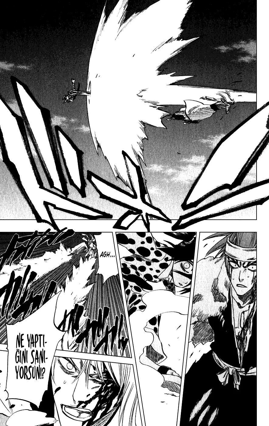Bleach - Bölüm 207 - Sayfa 13