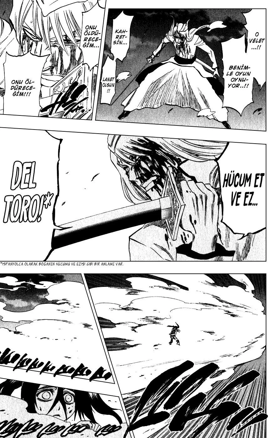 Bleach - Bölüm 207 - Sayfa 17