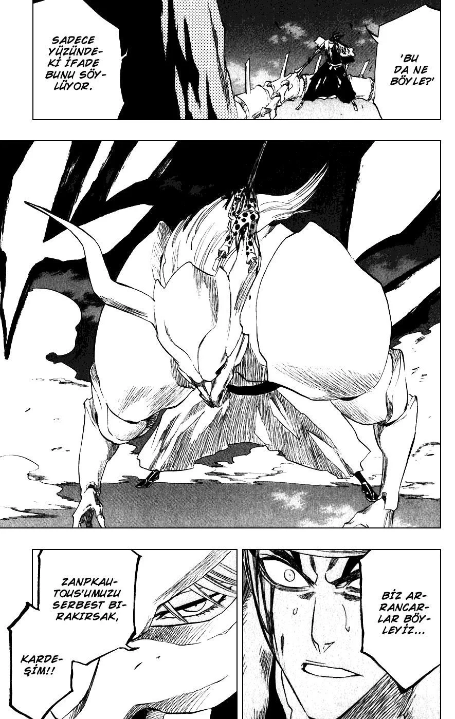 Bleach - Bölüm 207 - Sayfa 19