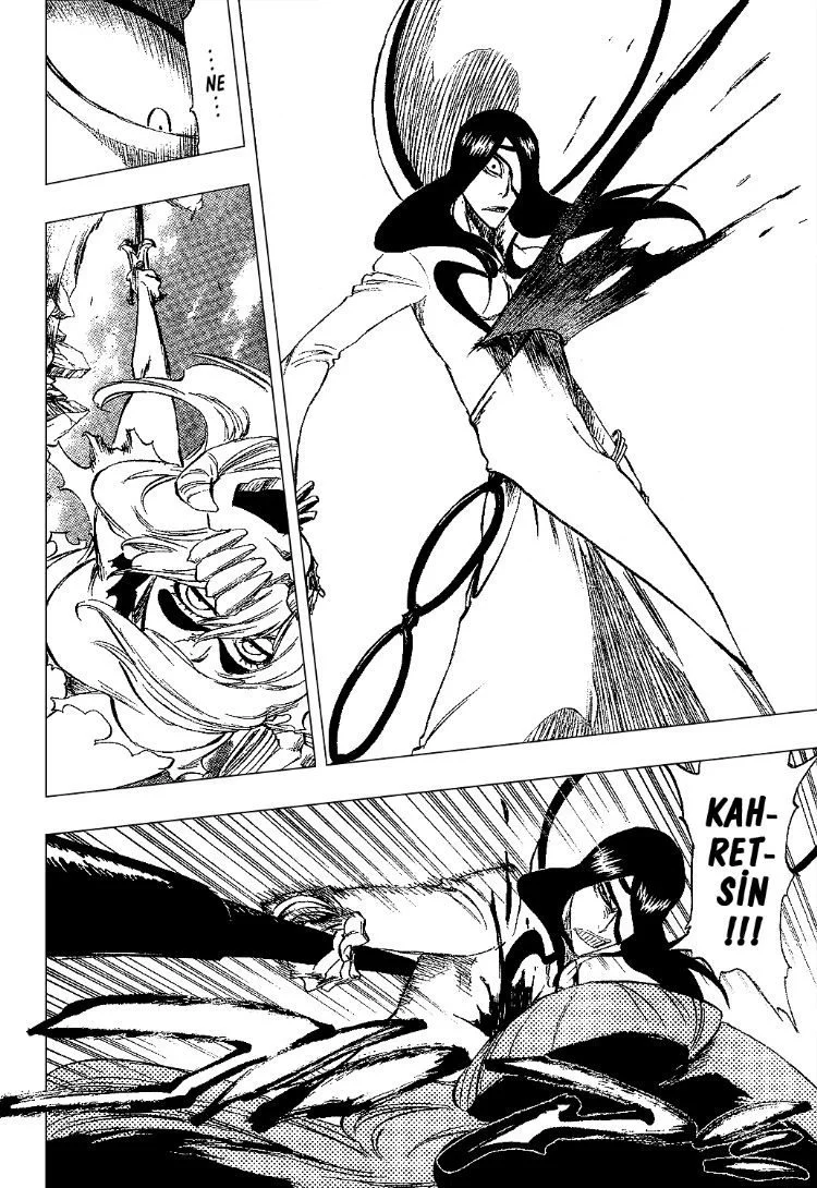 Bleach - Bölüm 291 - Sayfa 13