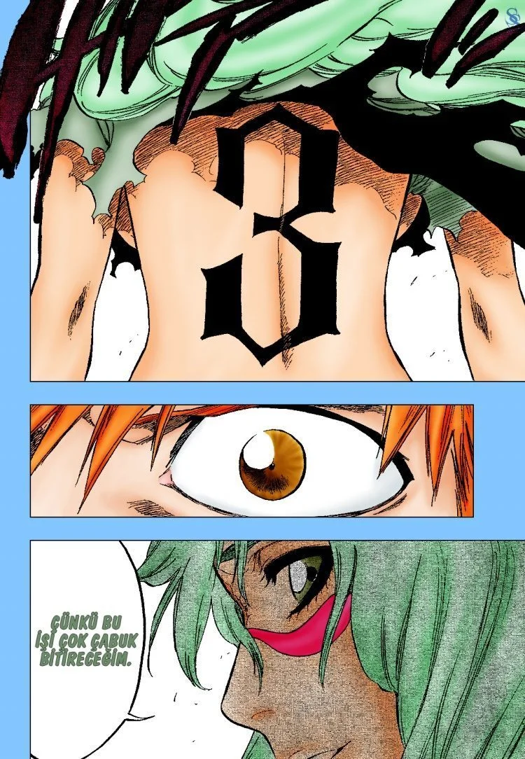 Bleach - Bölüm 291 - Sayfa 19