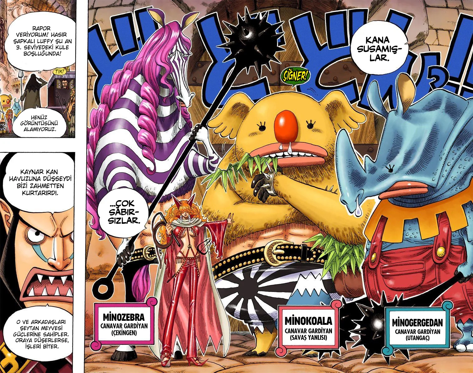 One Piece - Bölüm 533 - Sayfa 9