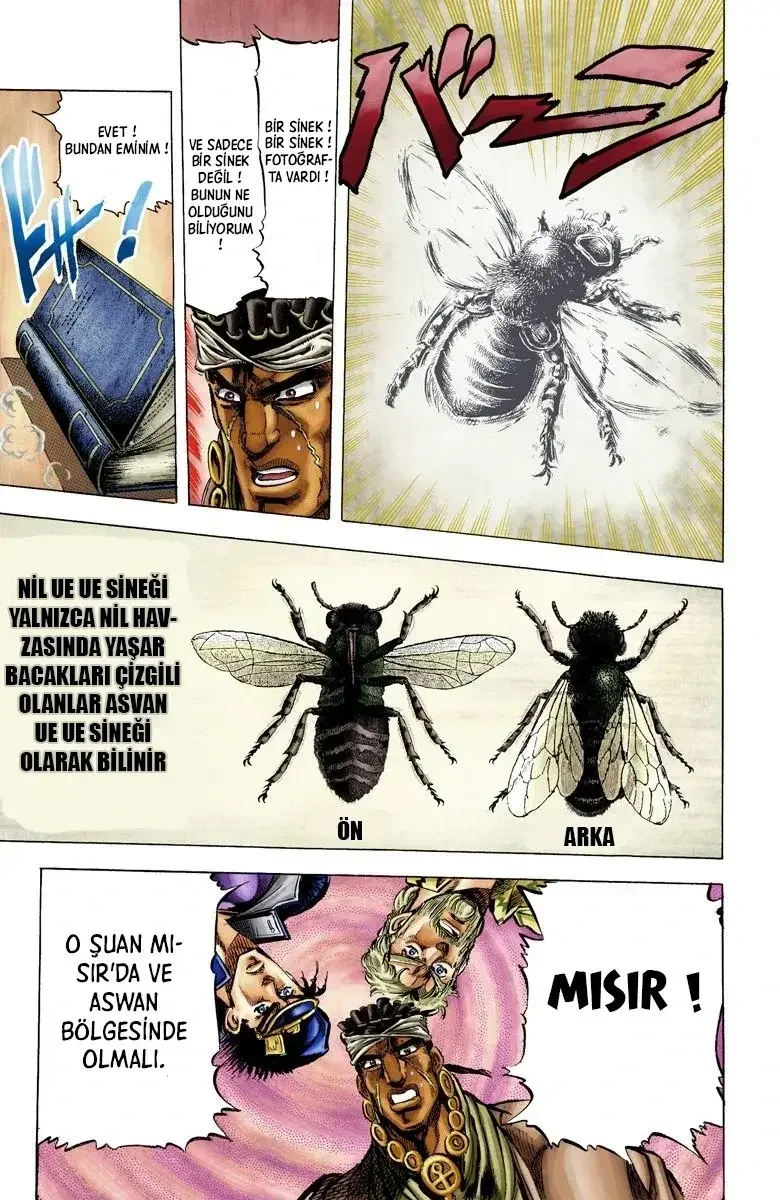JoJo's Bizarre Adventure Part 3: Stardust Crusaders - Bölüm 8 - Sayfa 17