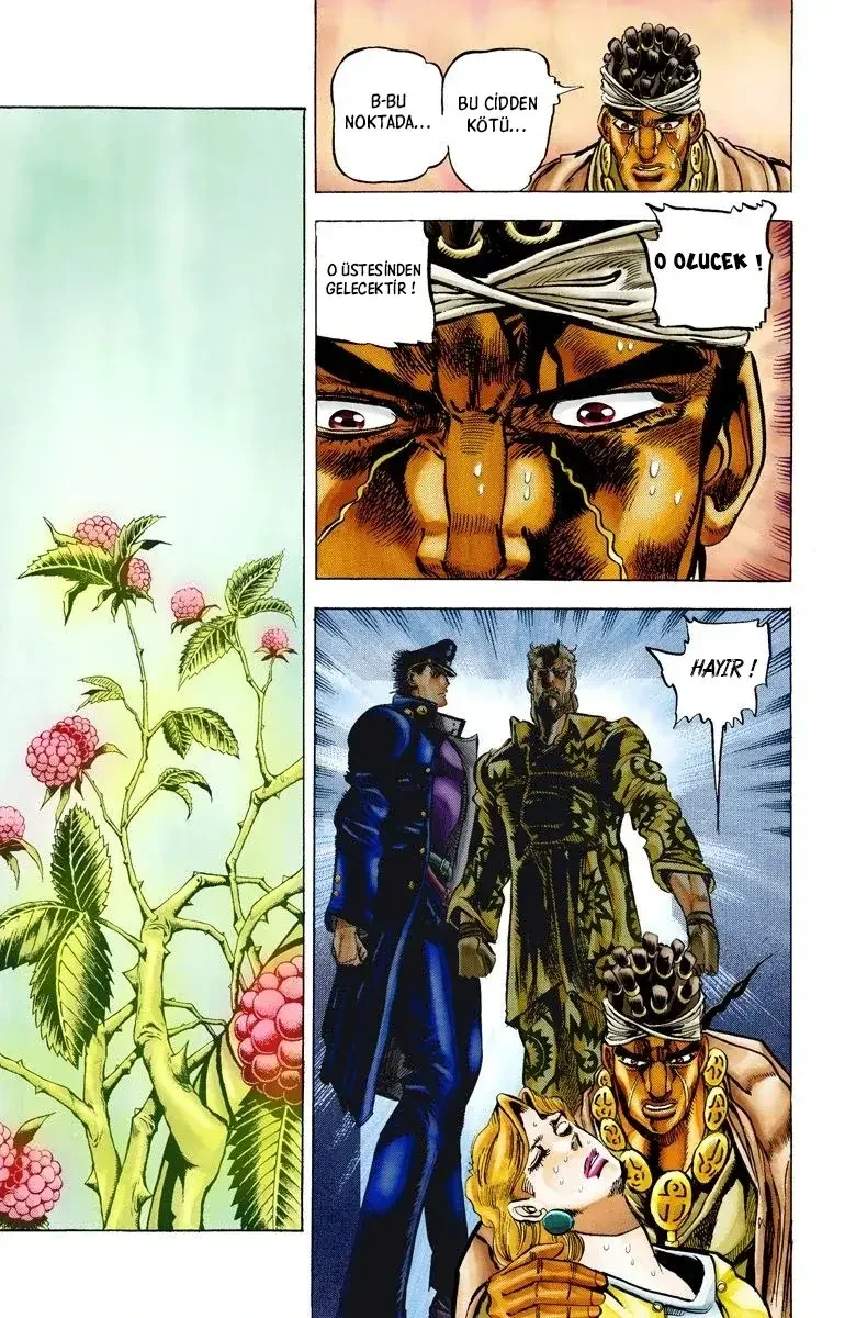 JoJo's Bizarre Adventure Part 3: Stardust Crusaders - Bölüm 8 - Sayfa 9