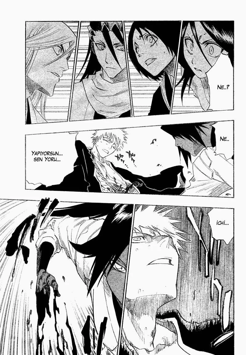 Bleach - Bölüm 118 - Sayfa 13