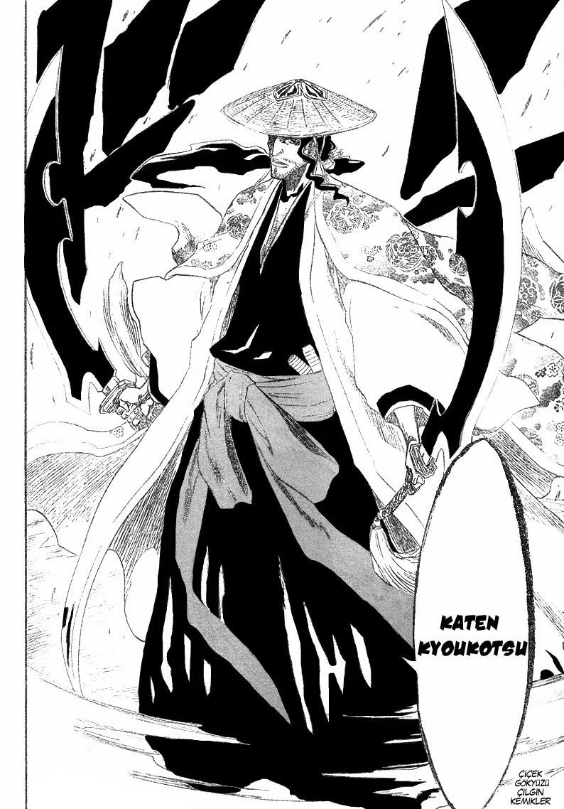 Bleach - Bölüm 156 - Sayfa 13
