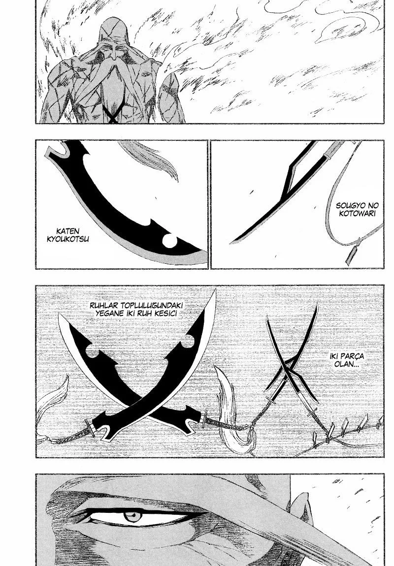 Bleach - Bölüm 156 - Sayfa 14