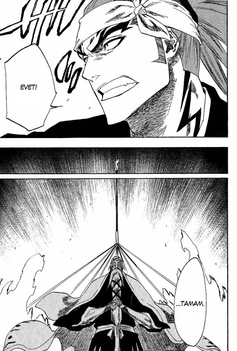 Bleach - Bölüm 149 - Sayfa 17