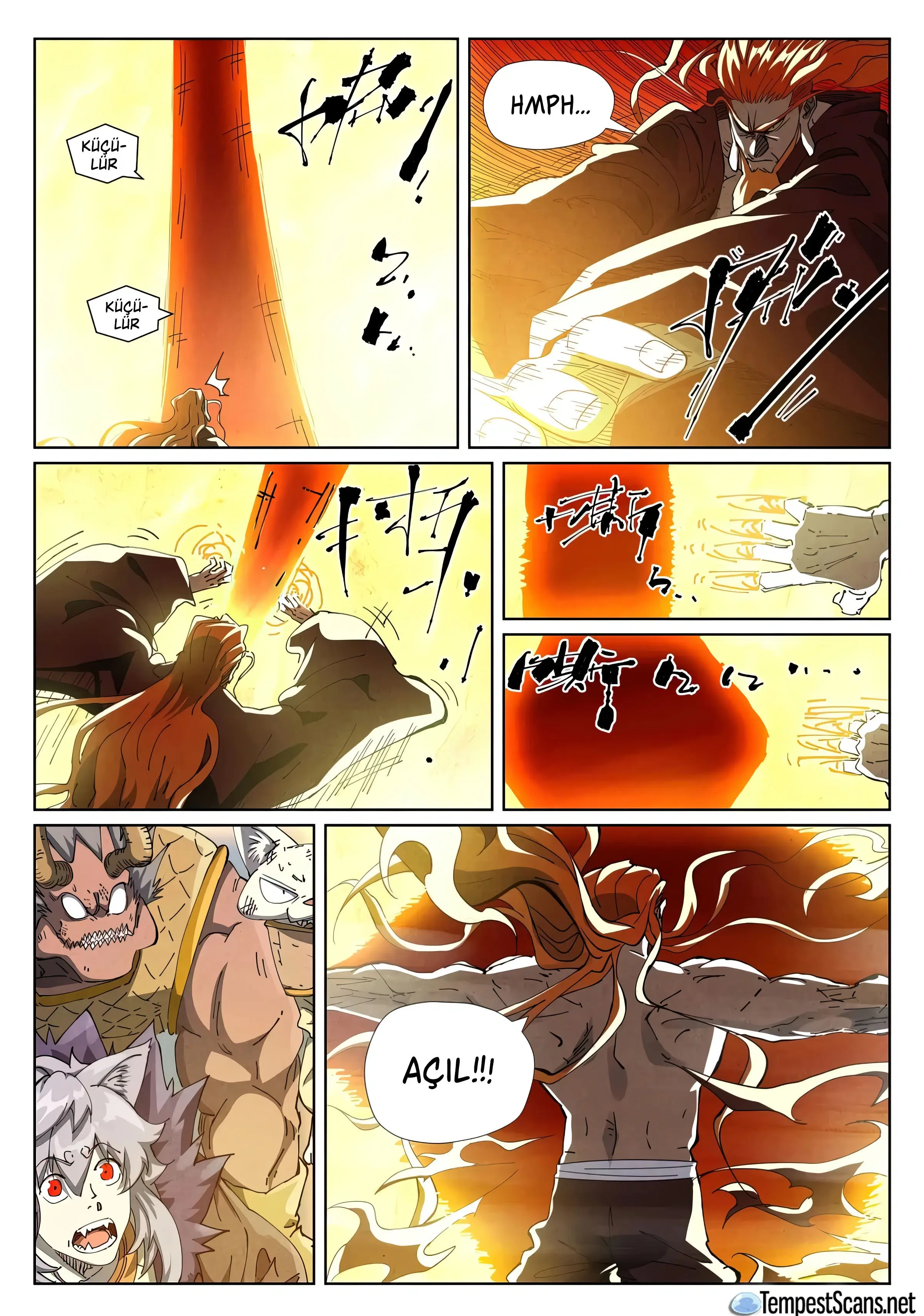 Tales of Demons and Gods - Bölüm 484.5 - Sayfa 5