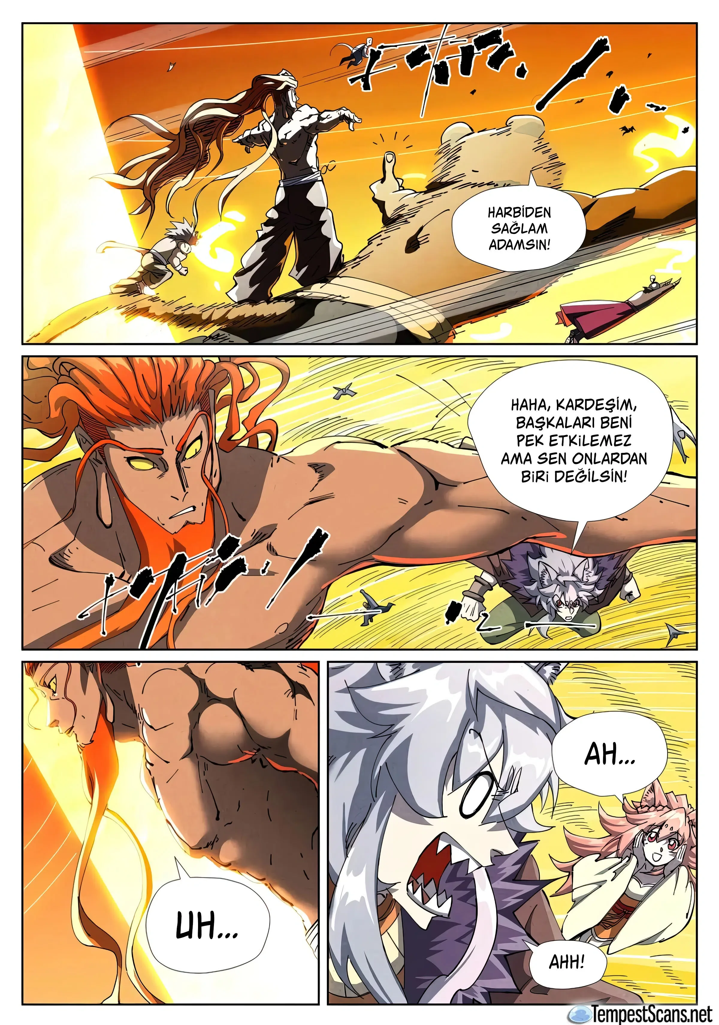 Tales of Demons and Gods - Bölüm 484.5 - Sayfa 8