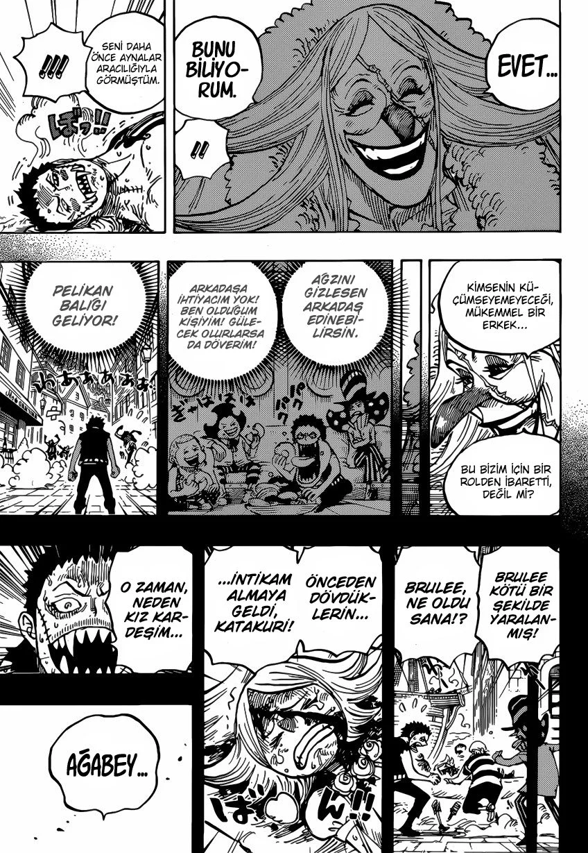One Piece - Bölüm 902 - Sayfa 13