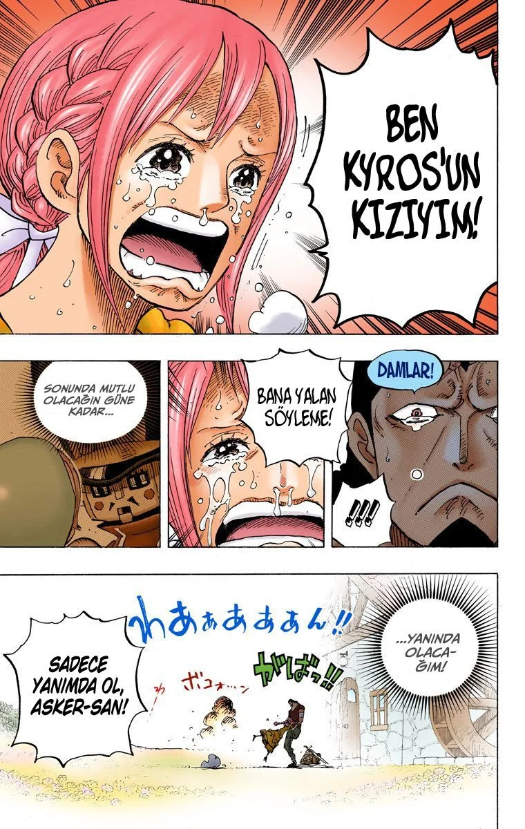 One Piece - Bölüm 797 - Sayfa 15