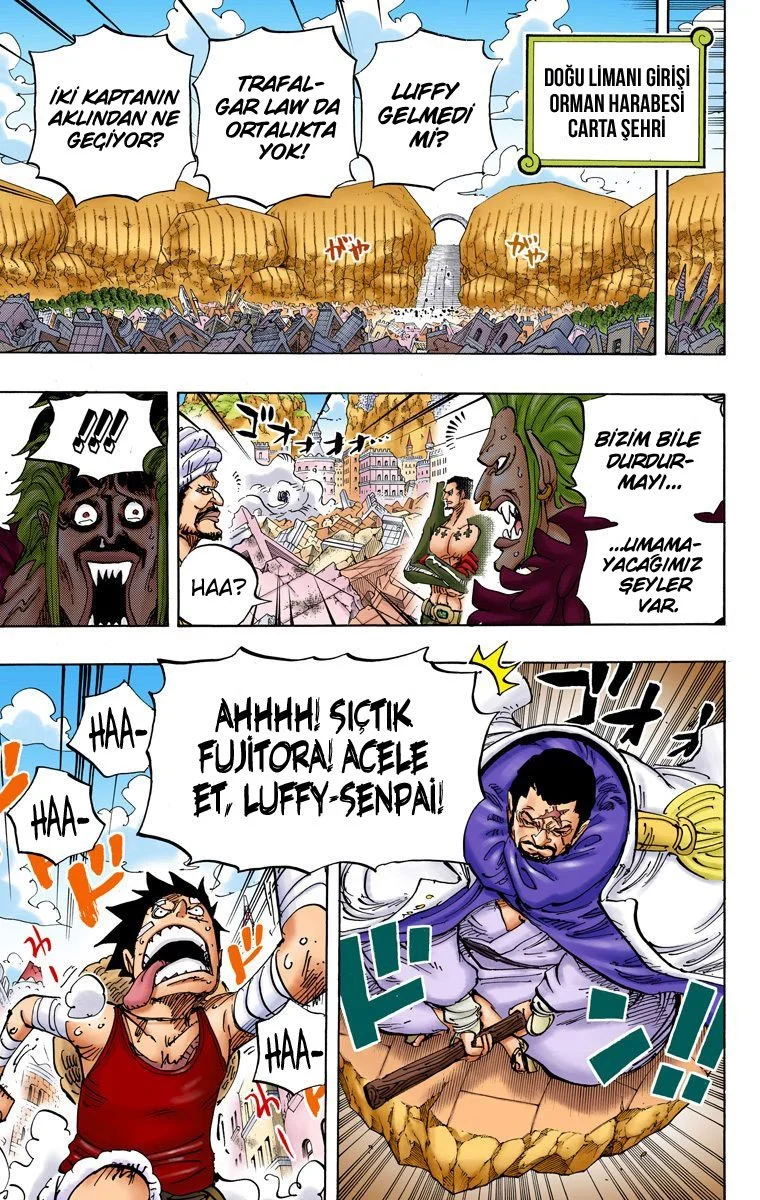 One Piece - Bölüm 797 - Sayfa 17