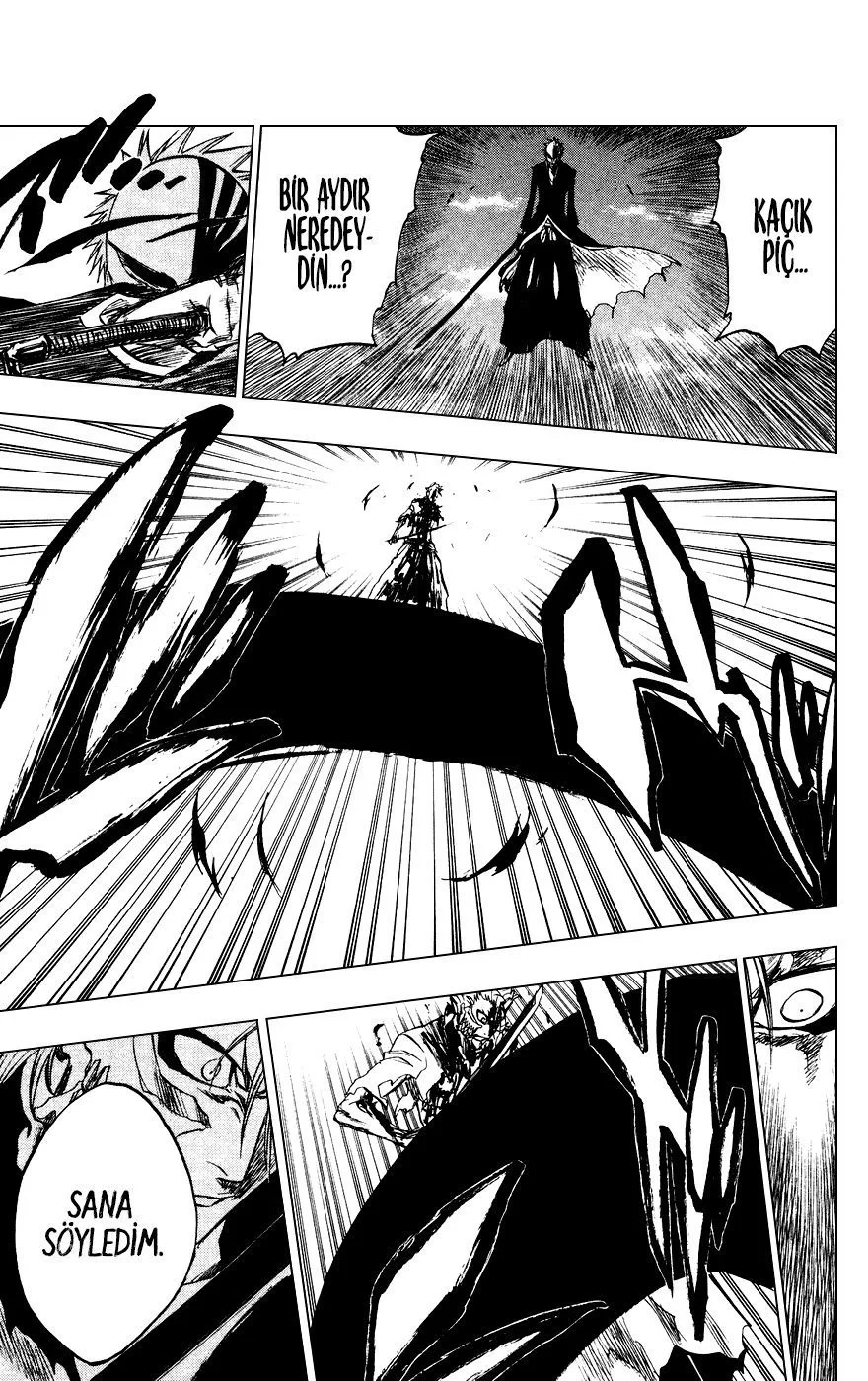 Bleach - Bölüm 232 - Sayfa 14