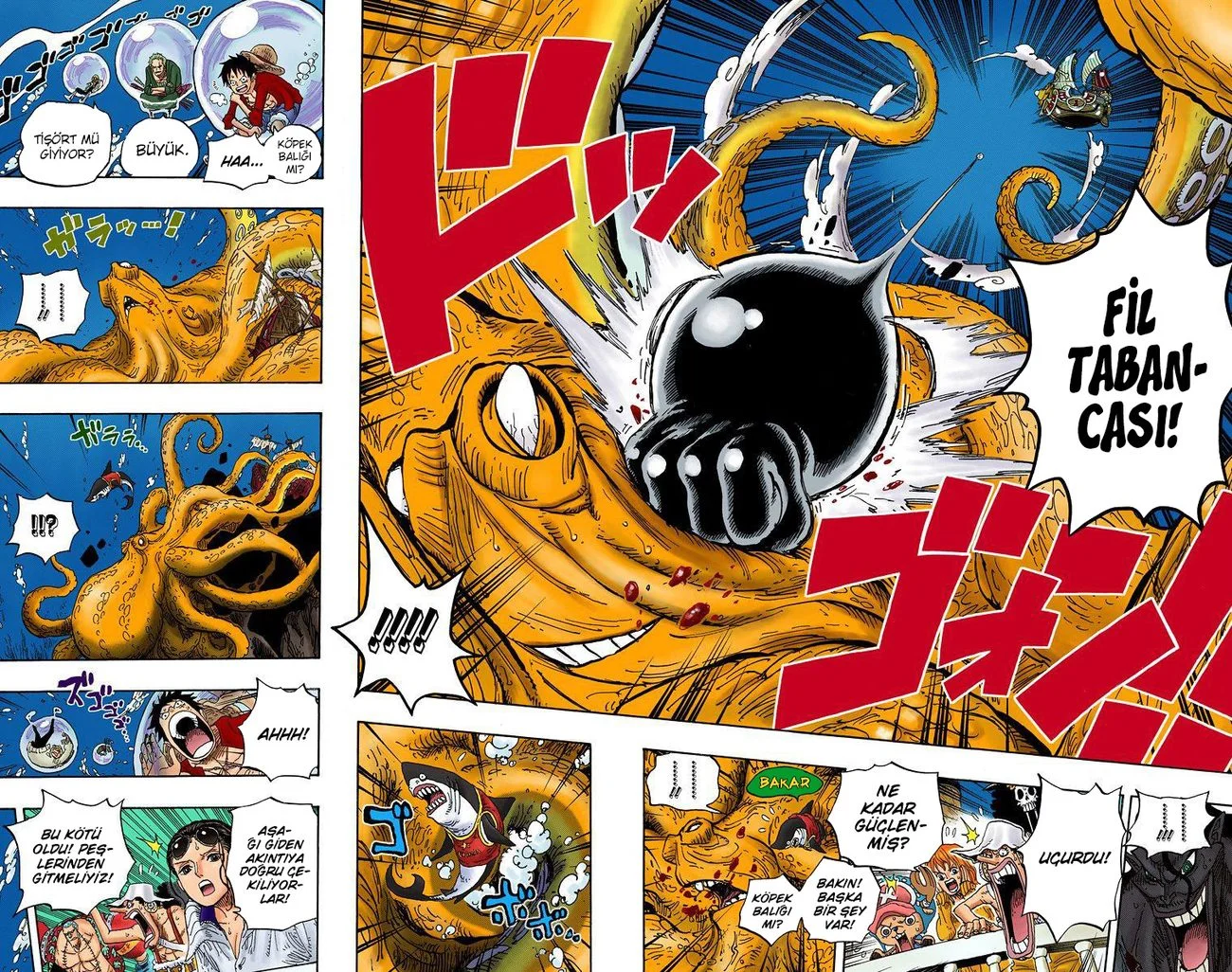 One Piece - Bölüm 605 - Sayfa 14