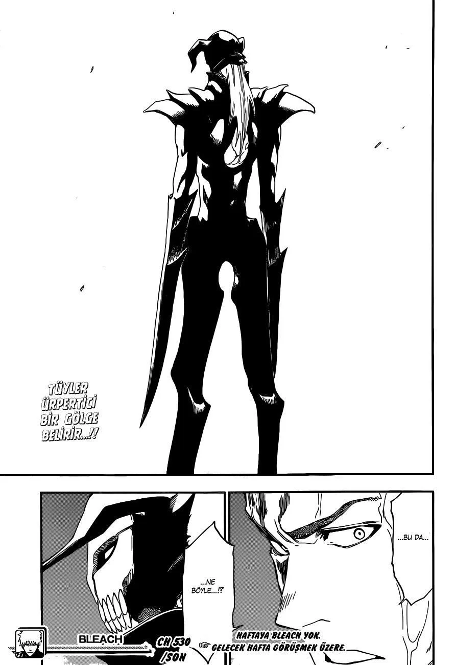 Bleach - Bölüm 530 - Sayfa 17