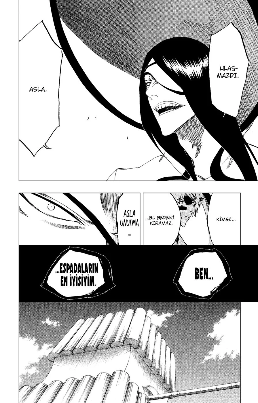 Bleach - Bölüm 263 - Sayfa 10