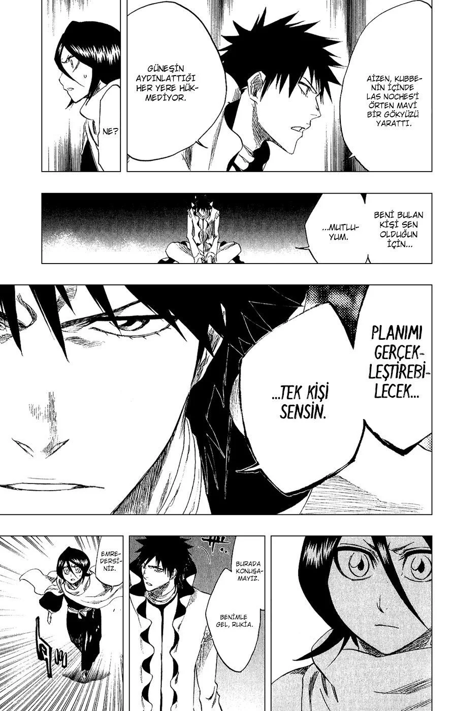Bleach - Bölüm 263 - Sayfa 17