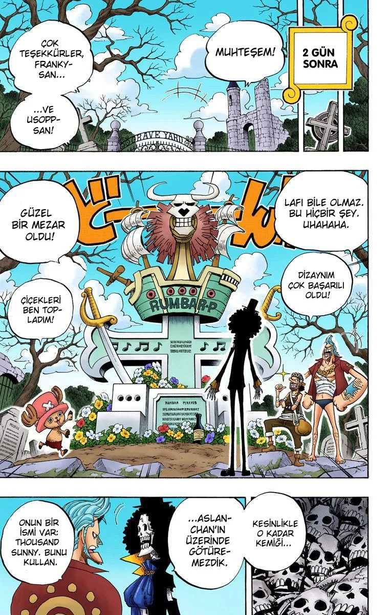 One Piece - Bölüm 489 - Sayfa 10