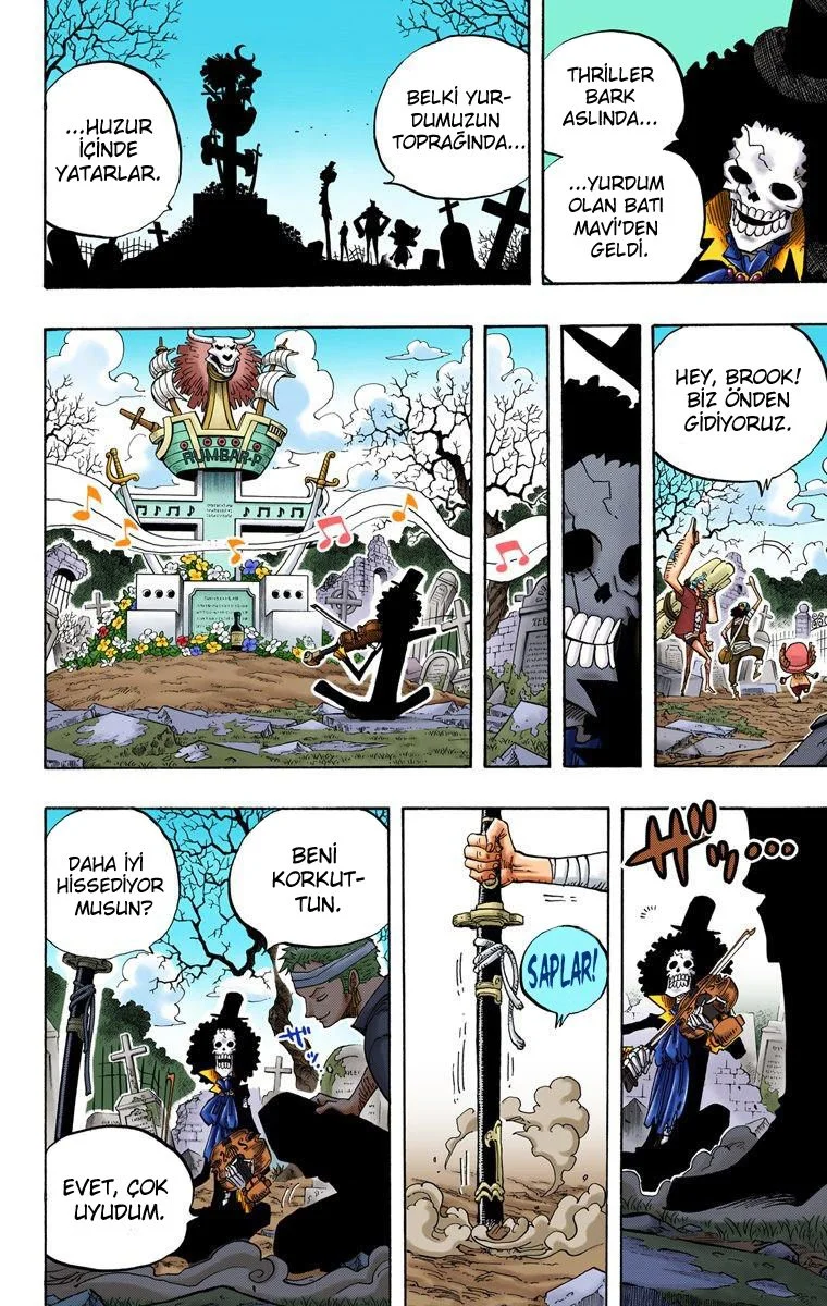One Piece - Bölüm 489 - Sayfa 11