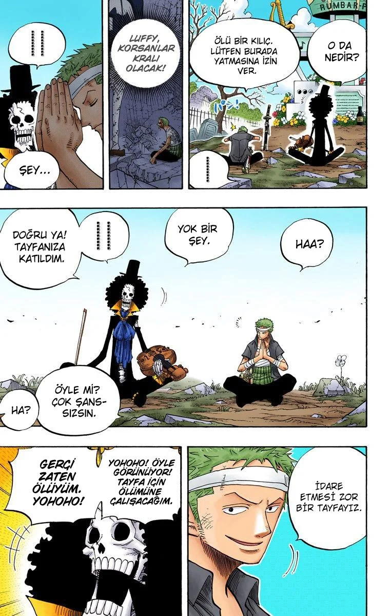 One Piece - Bölüm 489 - Sayfa 12