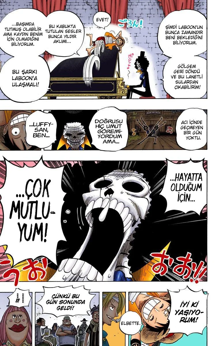 One Piece - Bölüm 489 - Sayfa 4