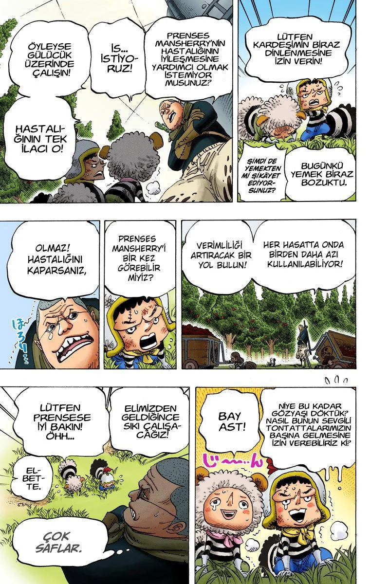 One Piece - Bölüm 738 - Sayfa 6