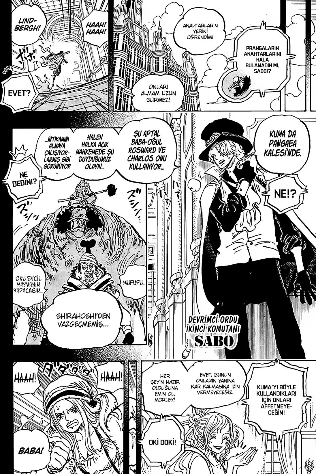One Piece - Bölüm 1083 - Sayfa 12