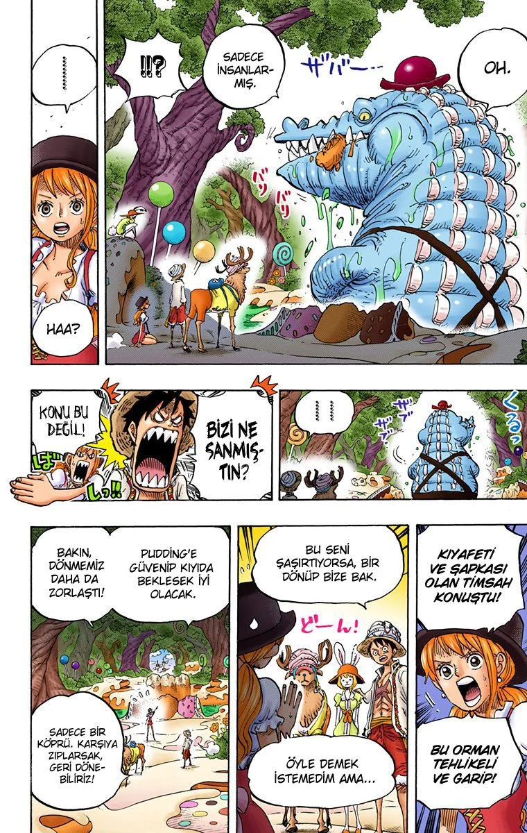 One Piece - Bölüm 831 - Sayfa 10