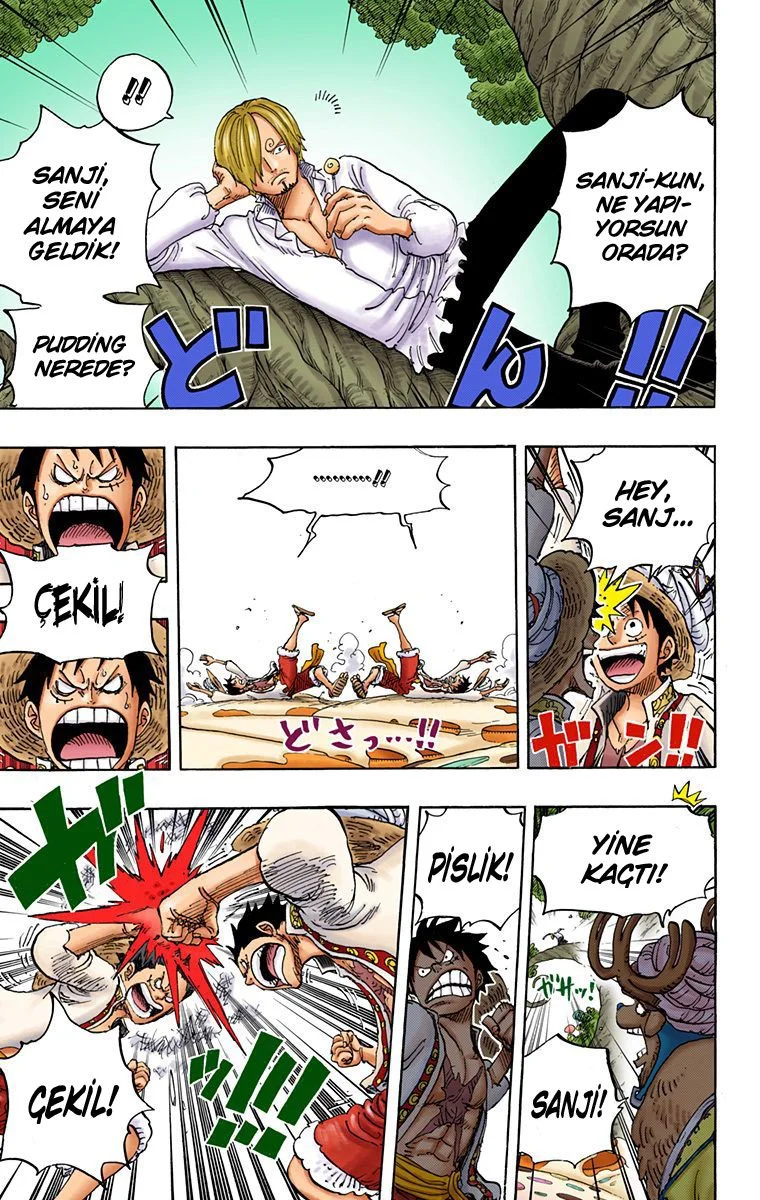 One Piece - Bölüm 831 - Sayfa 13